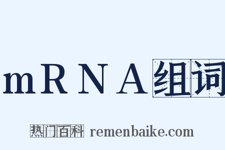 mRNA组词是什么意思的图片